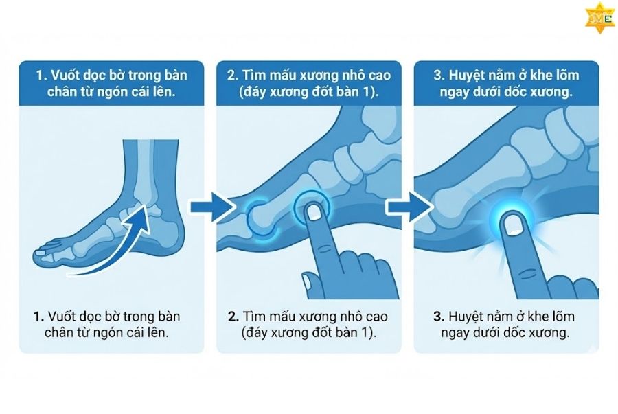 Hướng dẫn cách bấm huyệt Công Tôn hiệu quả tại nhà