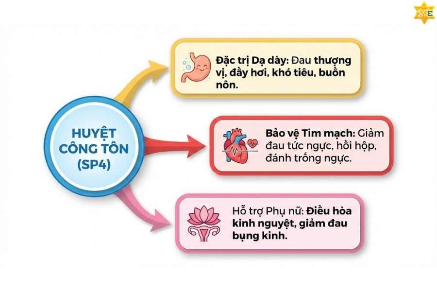 công dụng của huyệt Công Tôn trong trị liệu