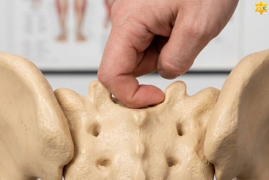 công dụng của huyệt trường cường