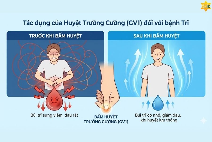 công dụng của huyệt trường cường