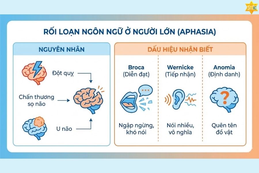 Rối loạn ngôn ngữ ở người lớn