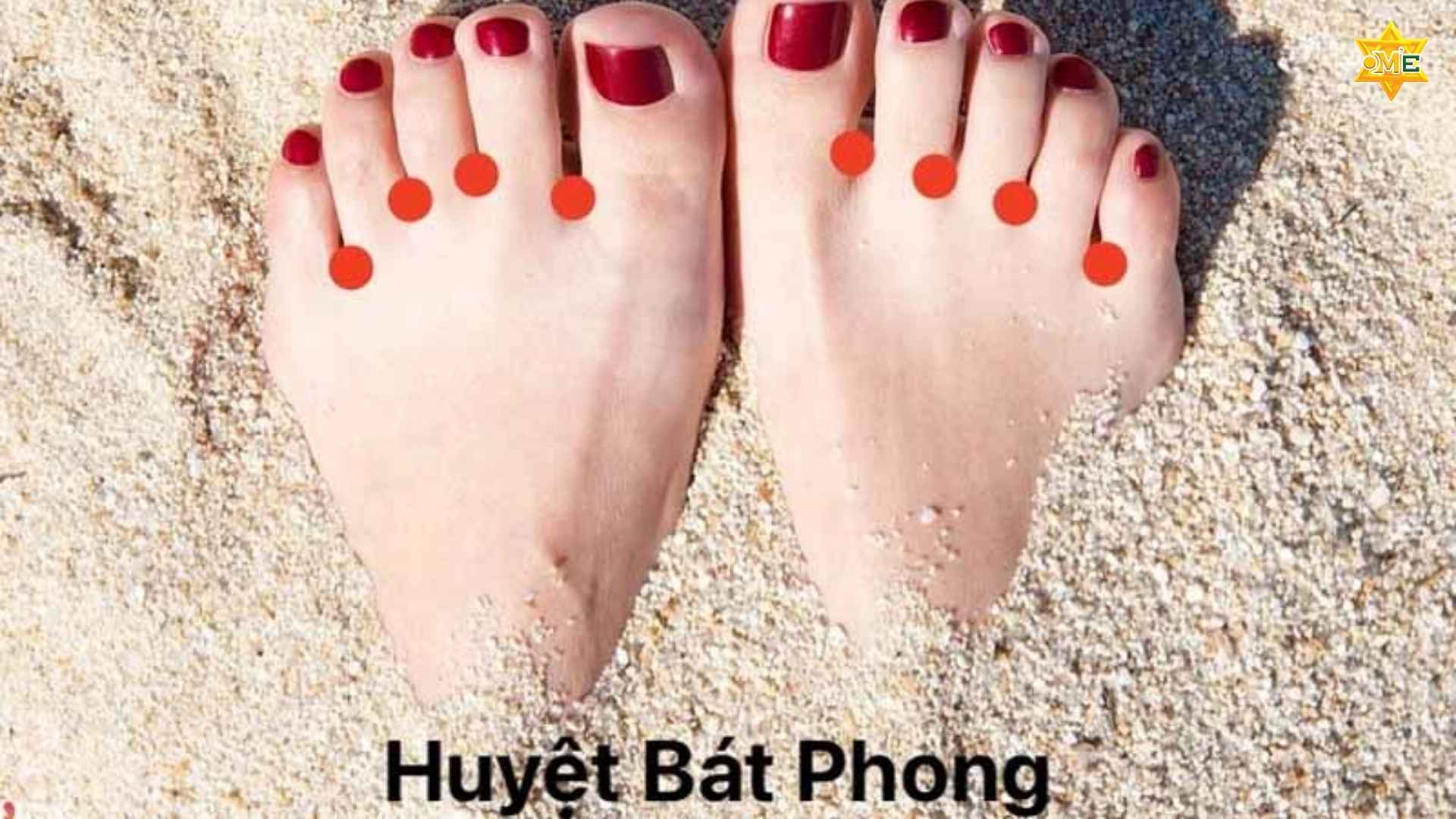 Cách xác định huyệt Bát Phong chuẩn xác