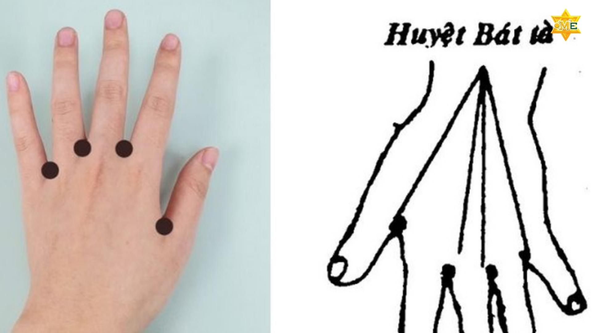 Cách xác định huyệt Bát Tà chuẩn xác