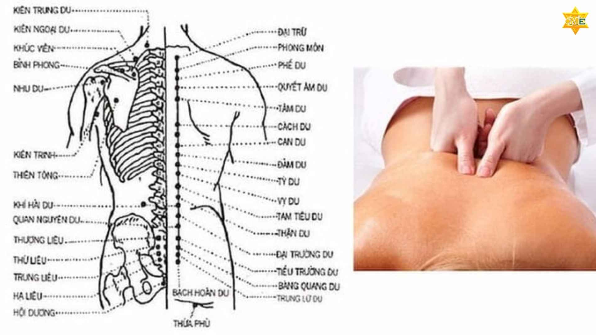 Cách xác định huyệt Bàng Quang Du