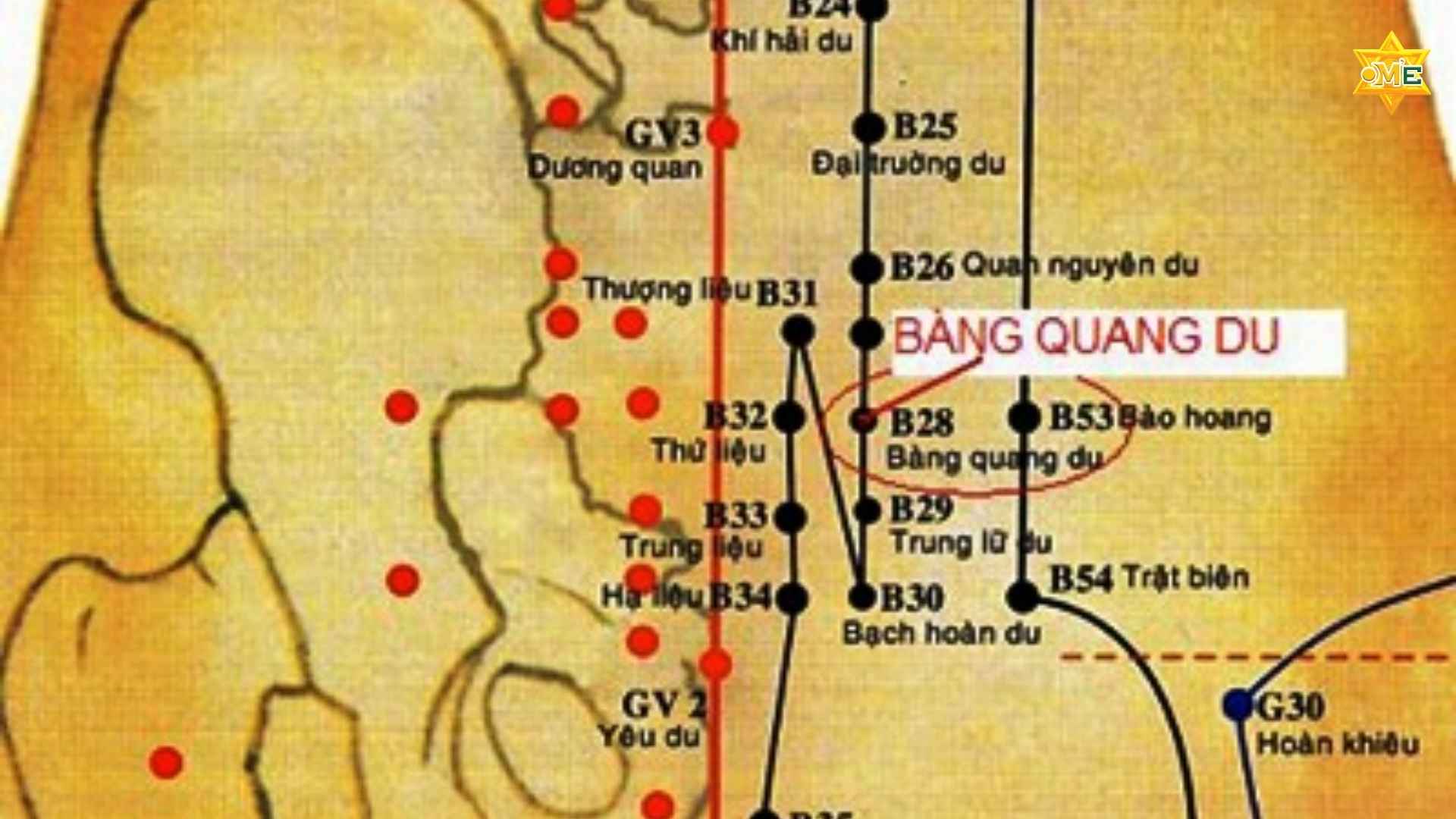 Cách xác định huyệt Bàng Quang Du chuẩn xác trị đau thắt lưng