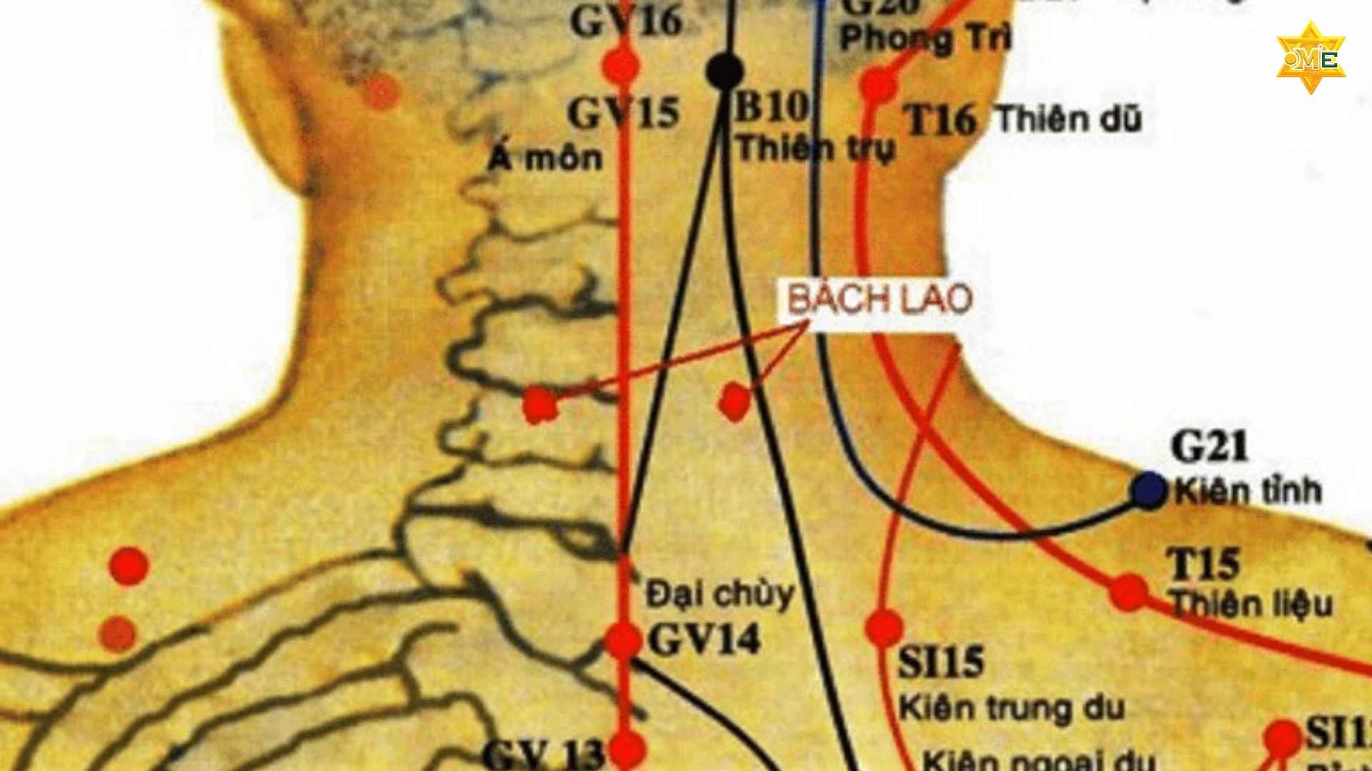 Cách xác định huyệt Bách Lao