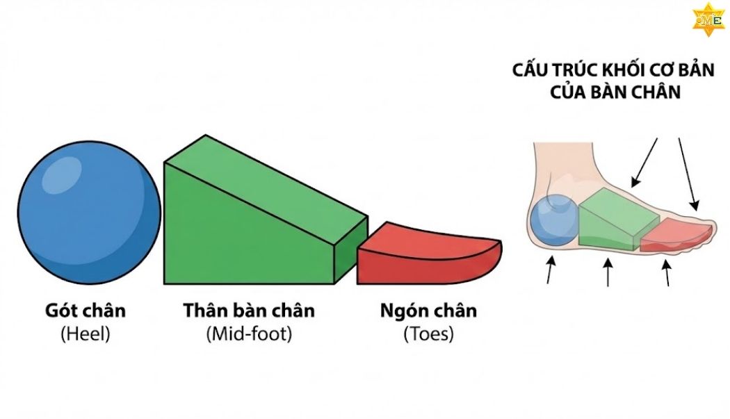 Nắm Bắt Cấu Trúc Khối Cơ Bản Trước Khi Vẽ