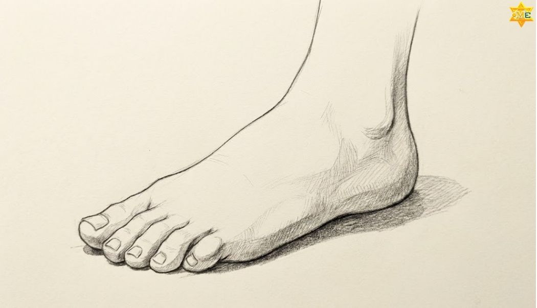 Hướng Dẫn Cách Vẽ Bàn Chân Đơn Giản