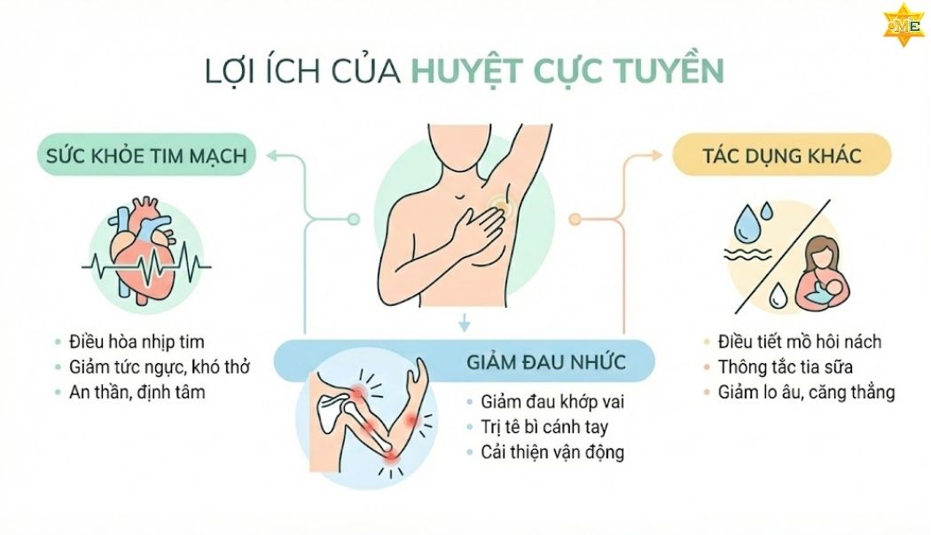 Lưu ý quan trọng từ Chuyên gia
