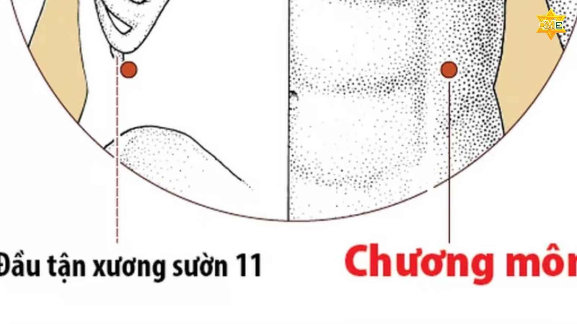 cách xác định huyệt Chương Môn chuẩn xác 