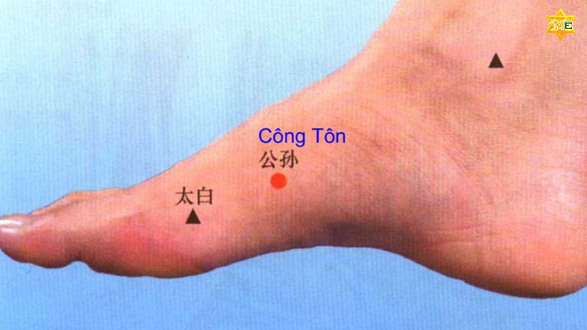 Cách xác định huyệt Công Tôn chuẩn xác giúp trị đau