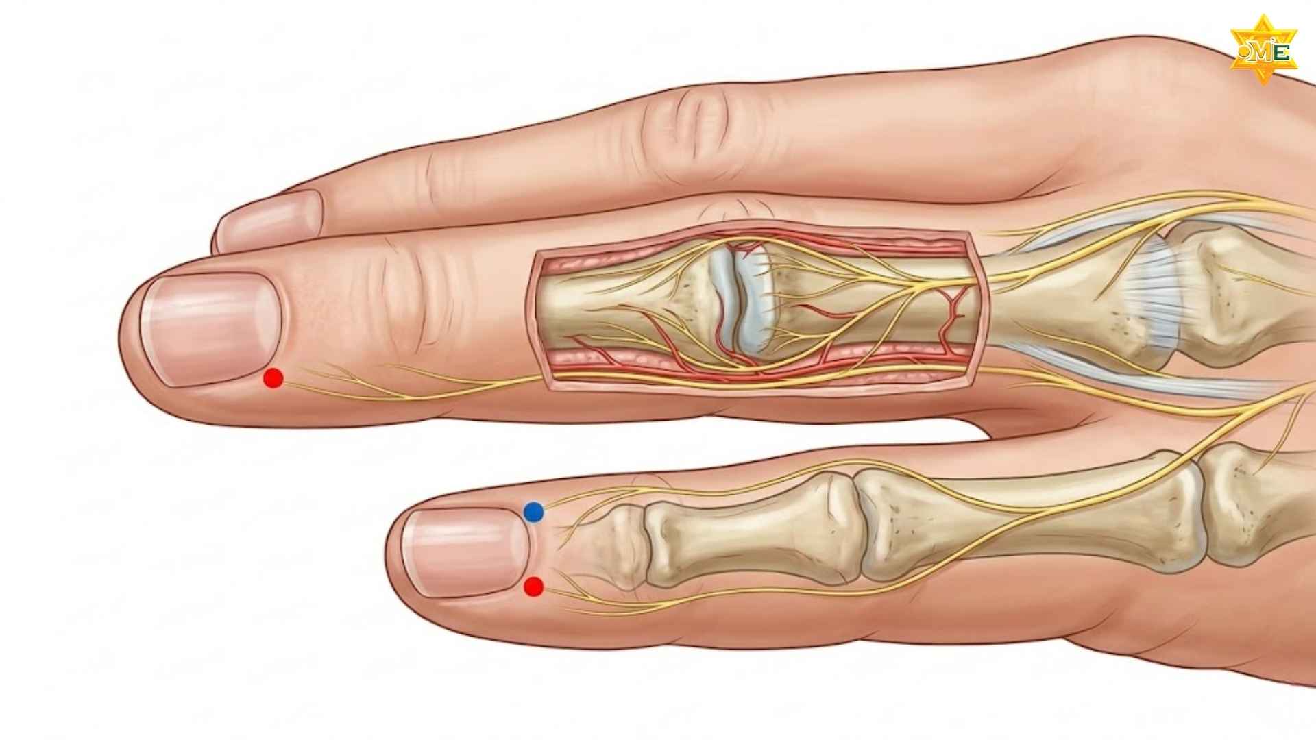 Cách xác định huyệt Quan Xung