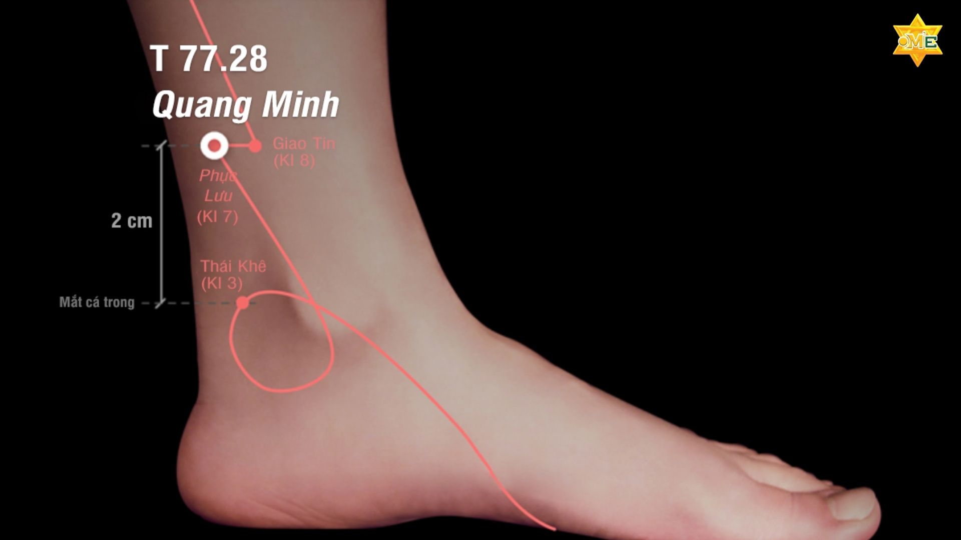 Cách xác định huyệt quang minh chuẩn xác