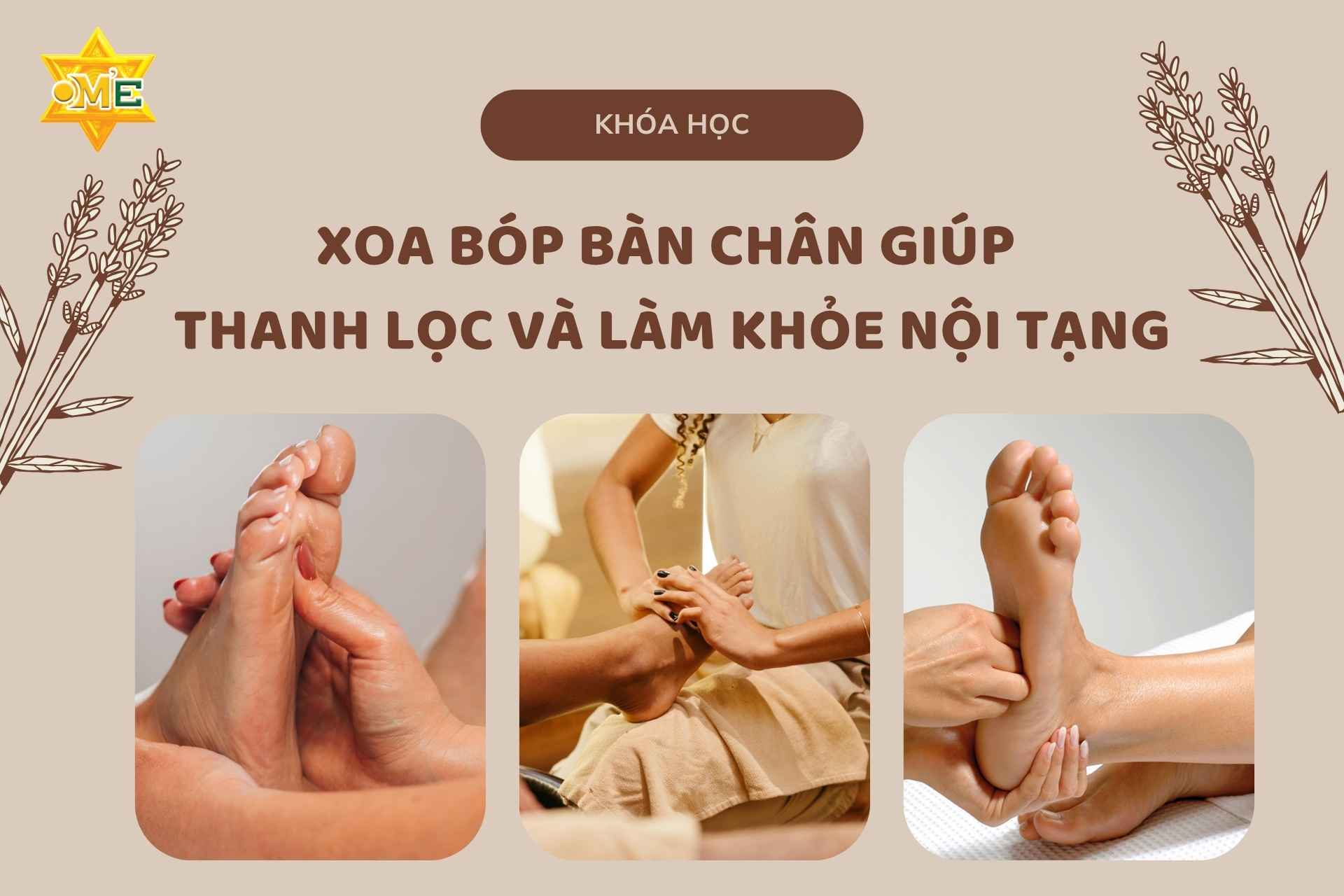 Xoa bóp bàn chân giúp thanh lọc và làm khỏe nội tạng