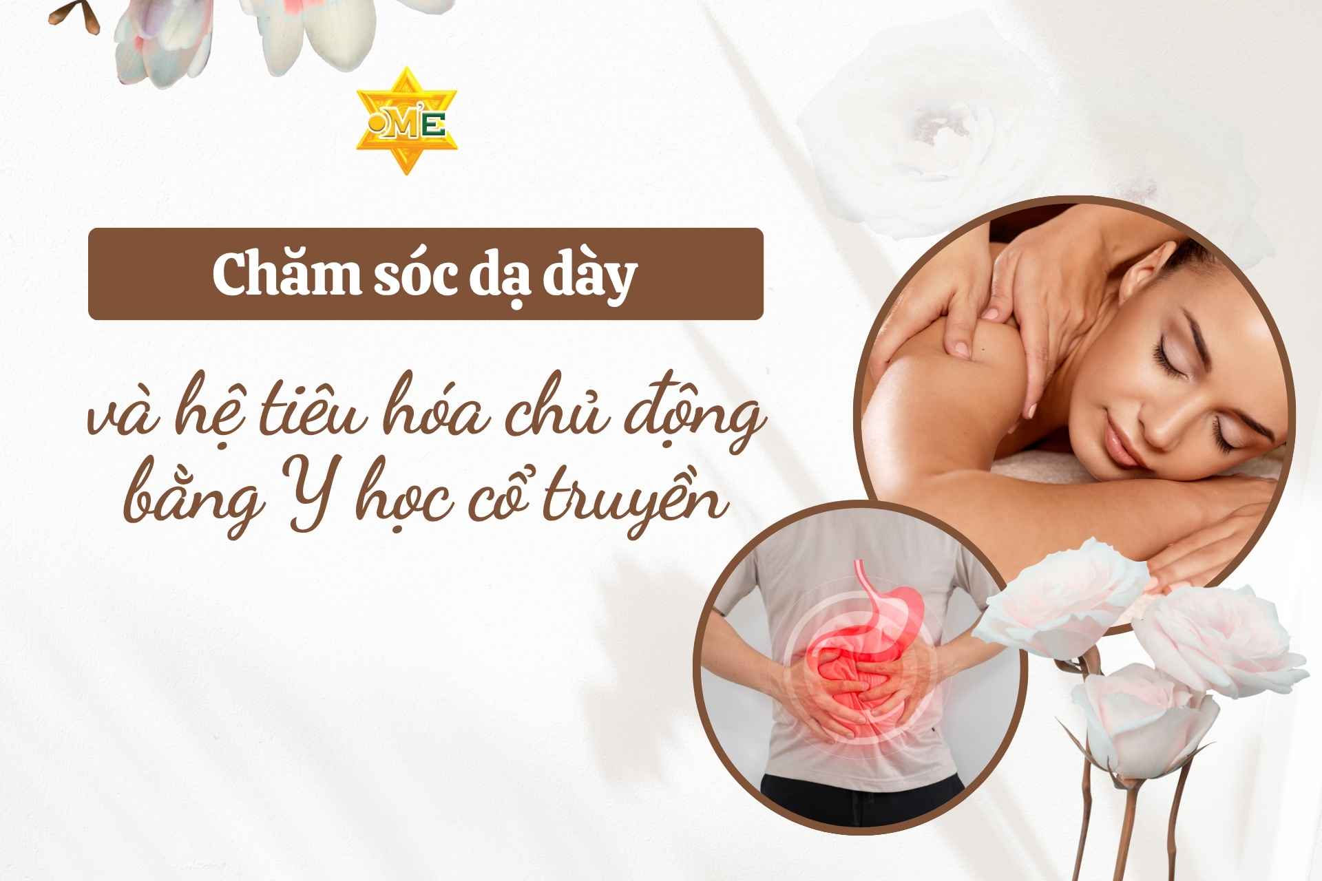 Chăm sóc dạ dày và hệ tiêu hóa chủ động bằng Y học cổ truyền